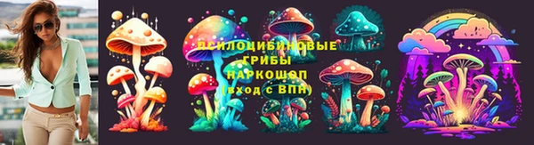 2c-b Белоозёрский