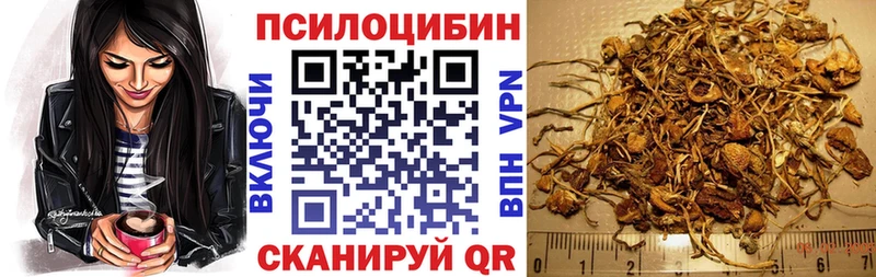 это Telegram купить наркотики цена Могоча Псилоцибиновые грибы Magic Shrooms