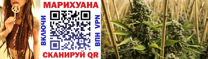сколько стоит  Могоча  Бошки Шишки Amnesia 